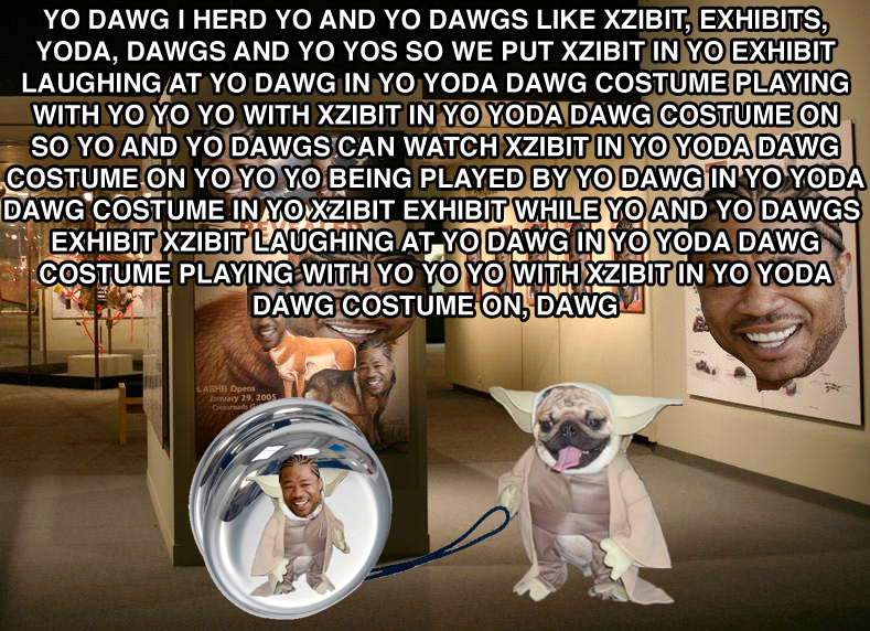 funny picture yo dawg